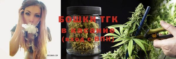 PSILOCYBIN Козловка